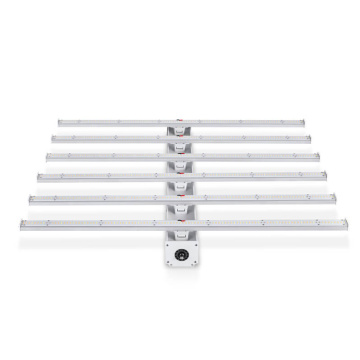 ดีที่สุด 6x6 LED Plant Ligting Grow Light