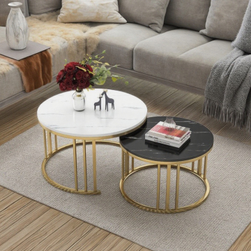 Minimalist Round Metal and Solid Wood Coffee Table Set