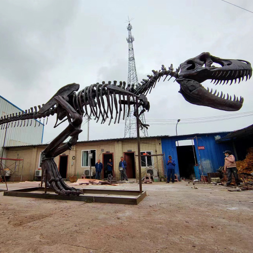 Most Complete T Rex Skeleton