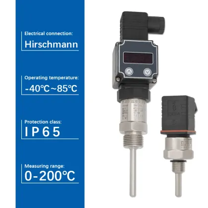 Customized Herman Temperature Sensors with Integrated Transmitter