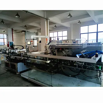 Automatic bottle with plastic tray cartoning machine