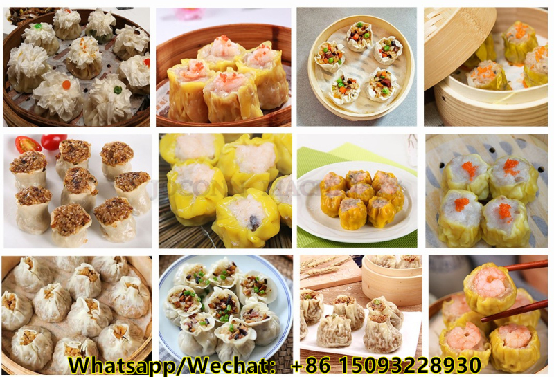 Semi-Automatic Tabletop Dumpling and Wonton Maker Machine