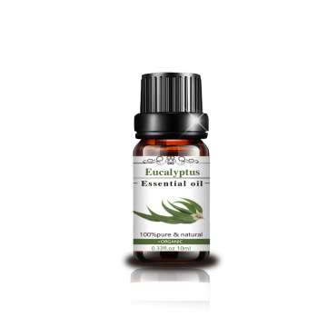 Pure Natural Stress Relief Essential Oil Eucalyputs Oil