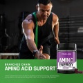 OEM/ODM Pre Workout Amino Acids Energy Gummies