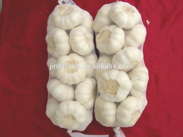 China fresh garlic different size