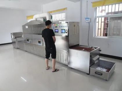 Automatic Microwave Belt Dryer for Morel Mushrooms and Other Vegetables - China Manufacturer