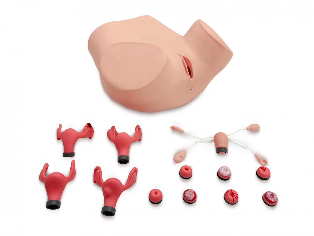 Advanced gynecological examination model