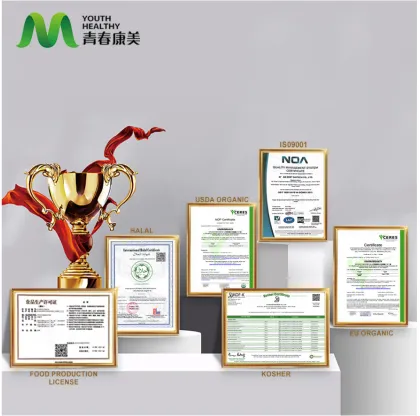 Pure Chondroitin Sulfate Powder for Medical Use