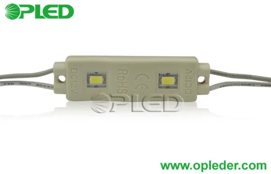 Flashing Epistar 5630 Led Module 12v Dc , 2 Led Green Signage Led Module