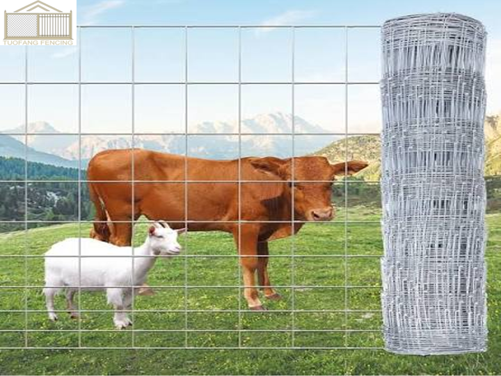 livestock fence 7
