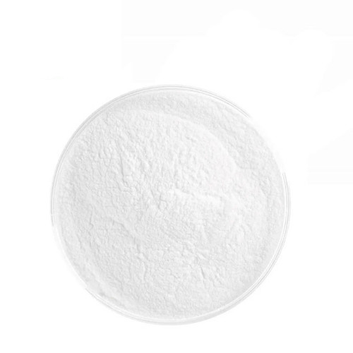 Lactobacillus Reuteri Powder for Gut Health