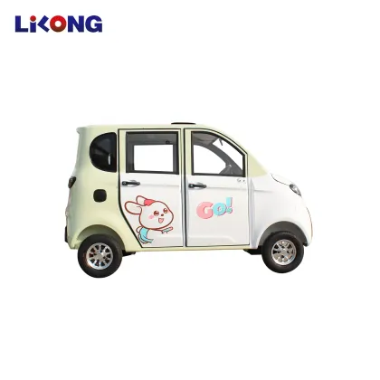 2024 Pure Electric EV Mini Small Car