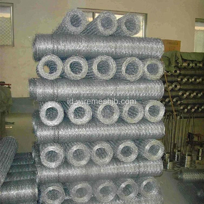 SS Hexagonal Wire Mesh