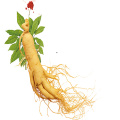 10% d'extrait de panax de ginseng