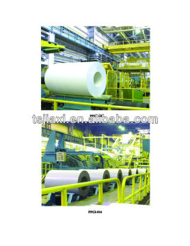 Prepainted galvanized Steel Coil (PPGI/PPGL)