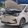 Changan BenBen E-STAR 2023 Model Multi-Color