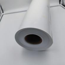 Transparent Polypropylene Plastic PP Sheet Roll