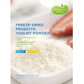 Non è necessaria alcuna fermentazione. Yogurt probiotico liofilizzato in polvere