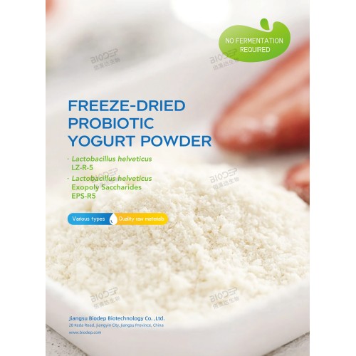 Non è necessaria alcuna fermentazione. Yogurt probiotico liofilizzato in polvere
