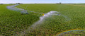 El sistema de irrigación pivotante central de alto rendimiento