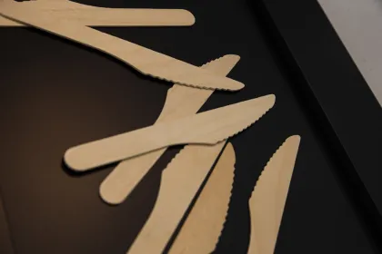 Disposable Aspen Wood Knife