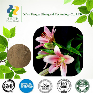 Wholesale pure Lily bulb extract powder