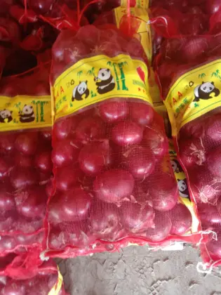 Health Foods for Fresh Onion Red