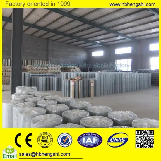Multifunctional 10x10 welded wire mesh with low price