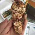 Detan Liofilizzato Tricholoma Matsutake Mushroom Packaginig
