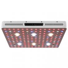 COB 3000W Grow Light para crescimento de plantas medicinais