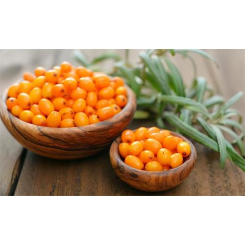 Sea Buckthorn Fruit Oil ≥30%