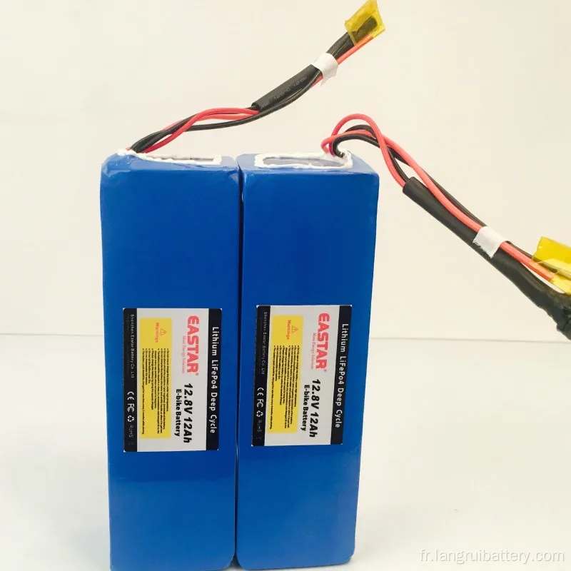 Batterie Li ion 12V 12Ah pour vélo E