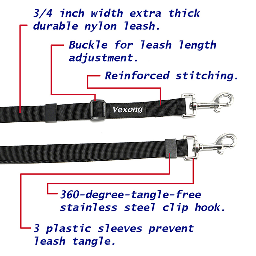 dog leash bungee