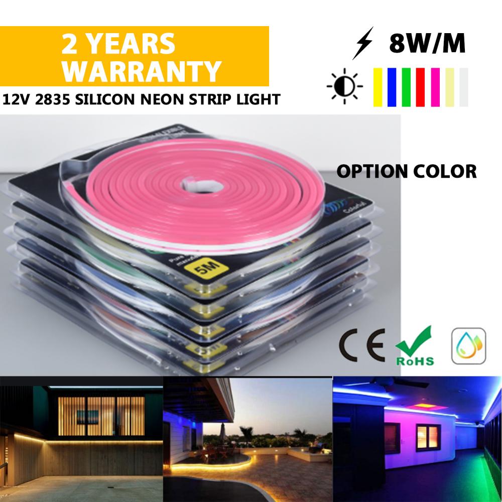 12V Neon lights 5M sets