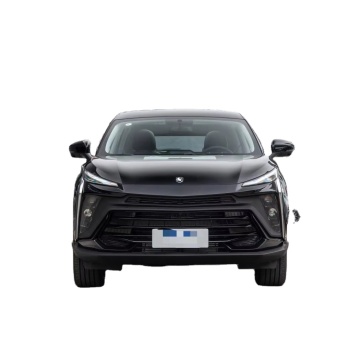 2024 Dongfeng Fengxing T5 EVO KuangBiao 1,5 TD DCT Platinum Modello