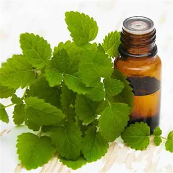 CAS 6485-40-1 Health Product Spearmint Essential Oil