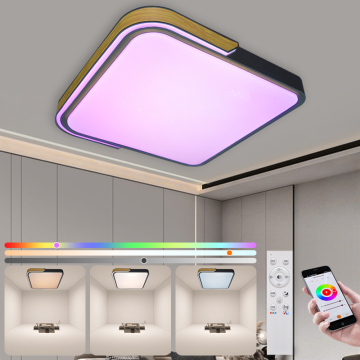Modern Smart RGB Dimmable LED Ceiling Light