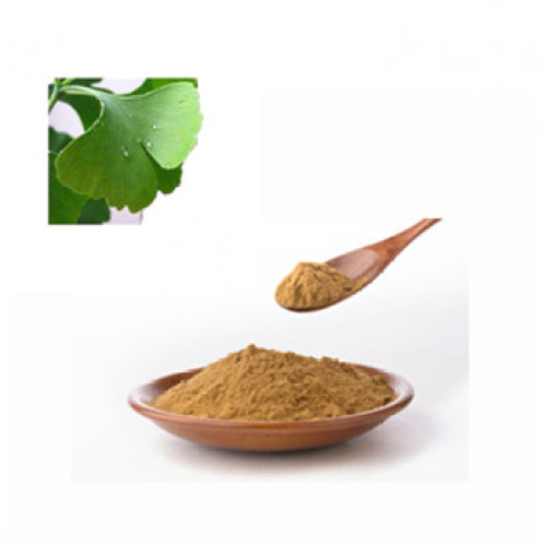 Health Antioxidant Ingredients Best price Ginkgo Biloba Extract powder Supplier