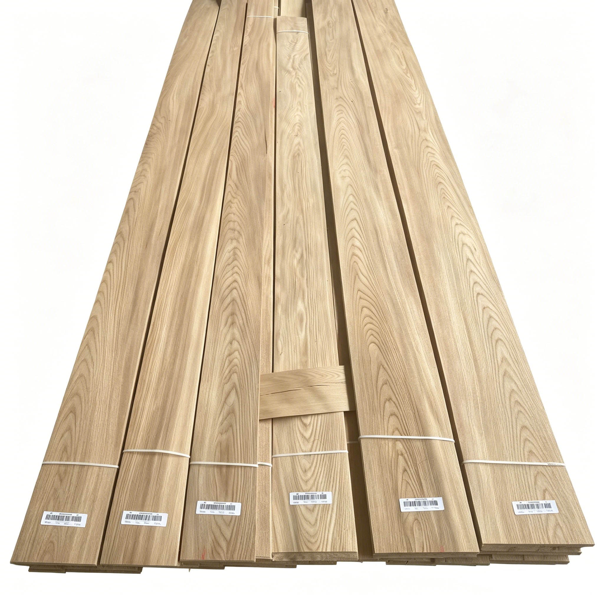 elm veneer