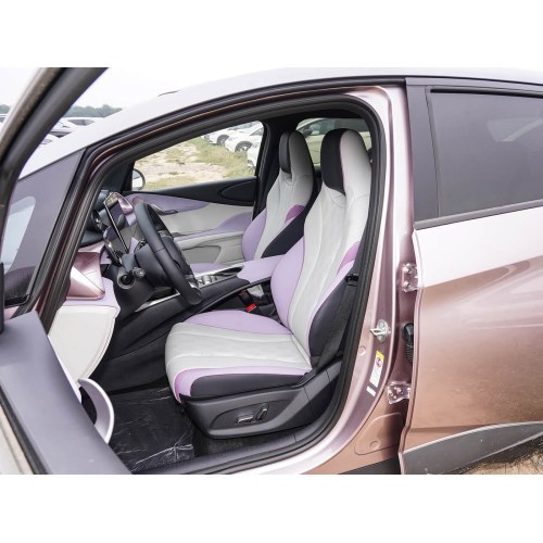 2025 BYD Dolphin 520 km Knight Edition