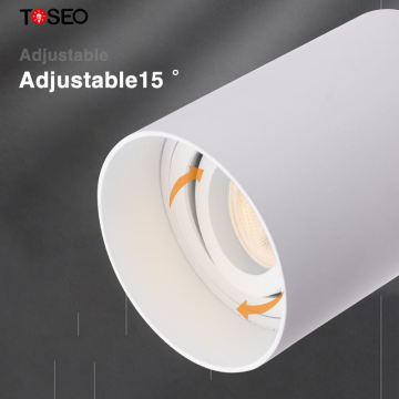 Surface Mounted Ceiling Lights: Recessed Die-Cast Aluminum LED Downlights from Top Lighting Manufacturer
