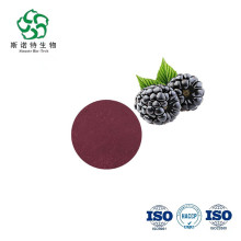 Antocianina Blackberry Fruit en polvo