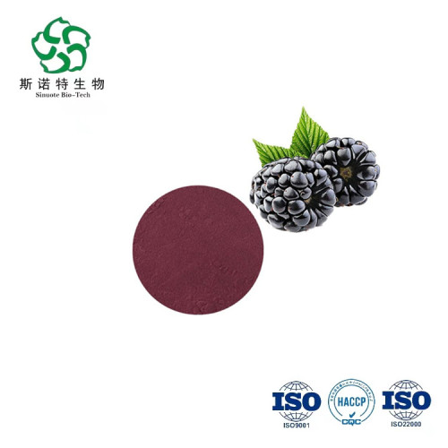 Natural Organic Blackberry Fruit Extract Powder