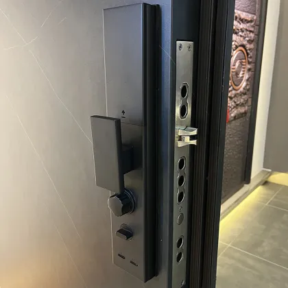 Export Quality Security Doors for Home Entrance and Residential Steel Security Doors