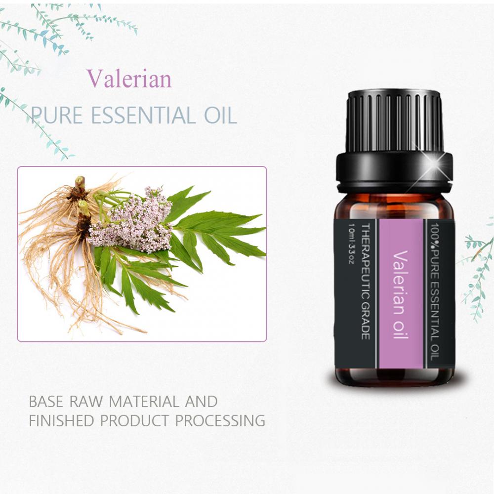 Pure Natural Valerian Essential Oil para aromaterapia cosmética