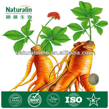sexual enhancer ginseng root powder extract/korean ginseng extract capsule