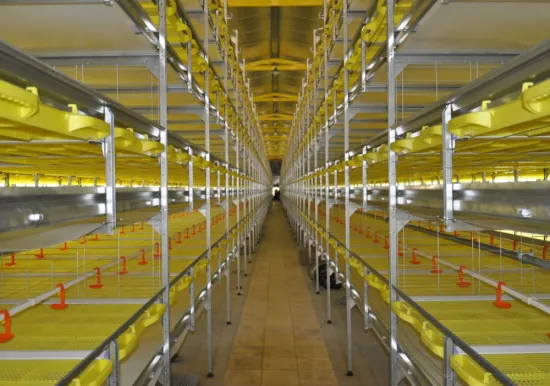 chicken layer cage and poultry equipment supplier manufacturer