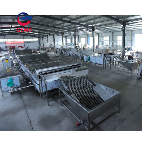 Egg Boiling Cracking Processing Egg Boiling Peeling Line