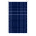 250W Ploy solar panel with low price