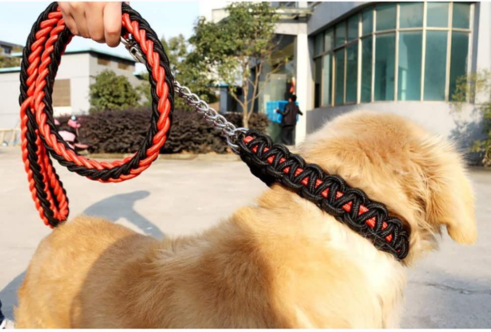 Dog Collar and Leash Set